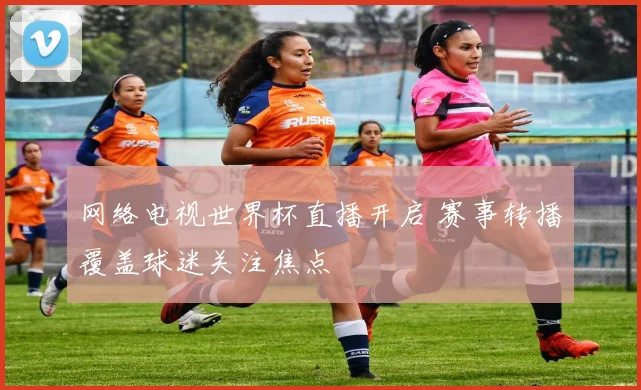 网络电视世界杯直播开启 赛事转播覆盖球迷关注焦点