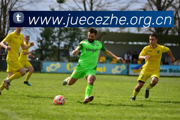 多媒体互动体验